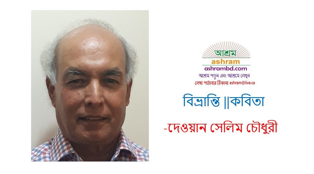 বিভ্রান্তি -দেওয়ান সেলিম চৌধুরী