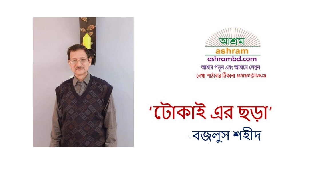 টোকাই এর ছড়া -বজলুস শহীদ