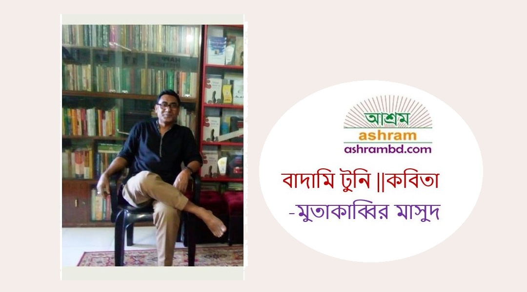 বাদামি টুনি - মুতাকাব্বির মাসুদ
