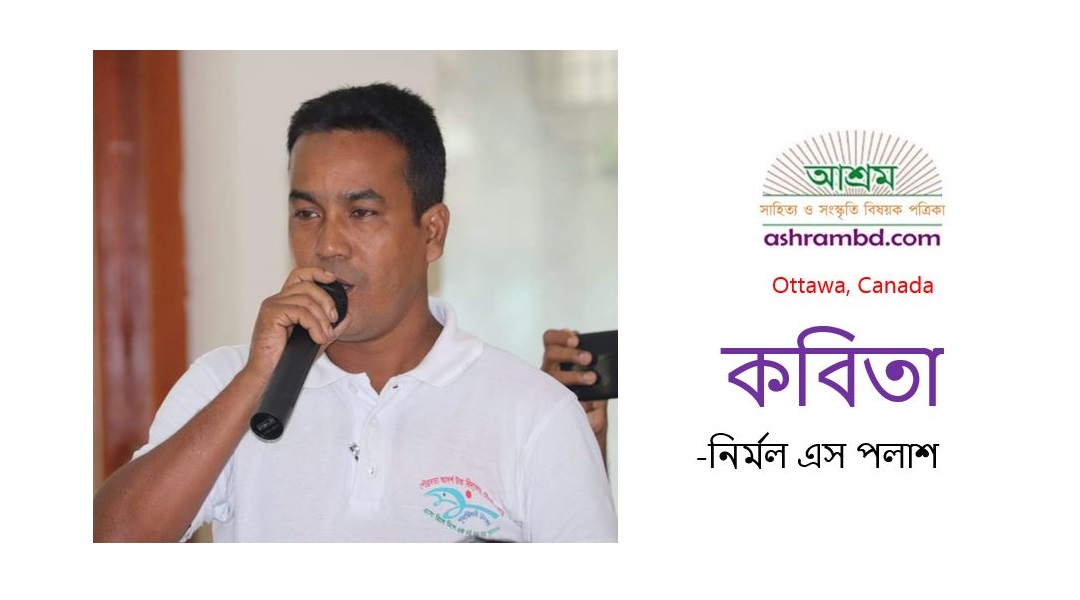 কুয়াশা বেলায় - নির্মল এস পলাশ