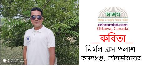 এক মুঠো রঙ - নির্মল এস পলাশ
