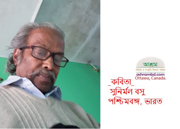 যখন স্মৃতির পাখিরা কথা বলে - সুনির্মল বসু