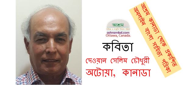 বুঝিতে না পারি - দেওয়ান সেলিম চৌধুরী