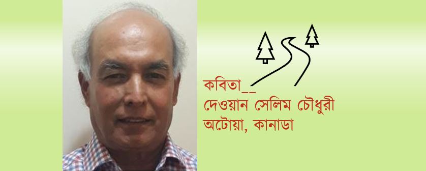 তোমাকে প্রণাম - দেওয়ান সেলিম চৌধুরী