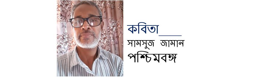 স্বাধীনতার মানে - সামসুজ জামান