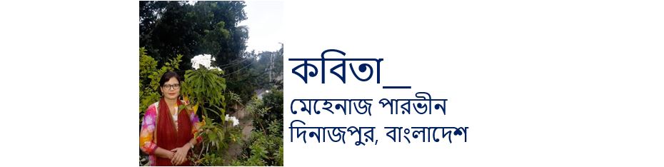 মুগ্ধ চিত্রকল্প - মেহেনাজ পারভীন