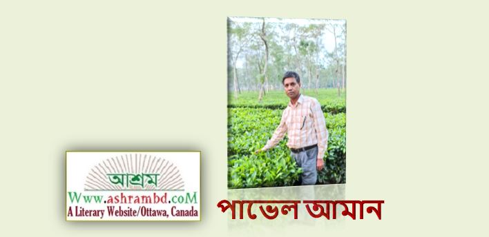 কবিতা - পাভেল আমান