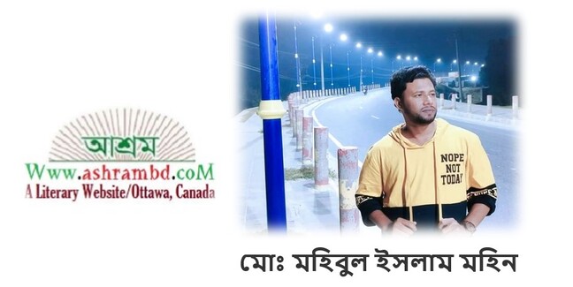 হারানো দিনগুলো - মোঃ মহিবুল ইসলাম মহিন